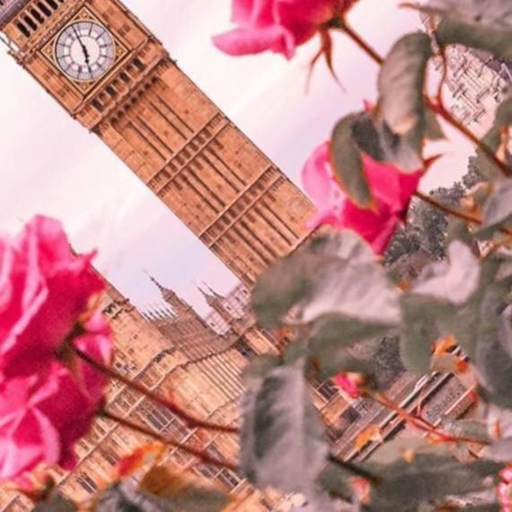 Meet your Posher, Gaby